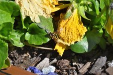 560_0225R_L_cr.jpg