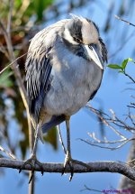 DSC_1808_001.JPG