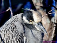DSC_1821_001.JPG