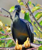DSC_1836_001.JPG