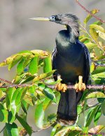 DSC_1837_001.JPG
