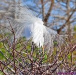 DSC_1873_001.JPG