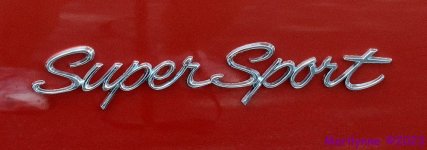 DSC_9996_001.JPG