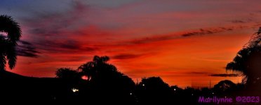 DSC_0036_stitch_001.JPG