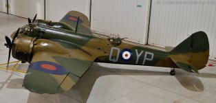 DSC-0398-2.jpg