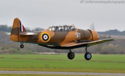 DSC-0452-2.jpg