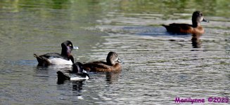 DSC_2511_001.JPG