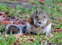 DSC_2529_001.JPG