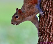 DSC_2543_001.JPG