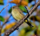 DSC_2587_001.JPG
