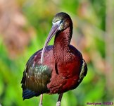 DSC_2609_stitch_001.JPG