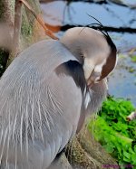 DSC_2661_001.JPG