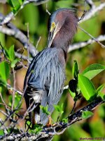DSC_2808_001.JPG