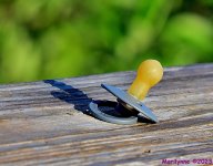 DSC_2847_001.JPG