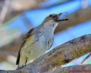 DSC_2938_001.JPG