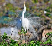 DSC_2948_001.JPG