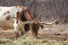 03-05-23_D503680-130820-NIKON D500CR- -ON1.jpg