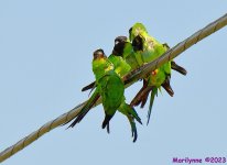 DSC_3289_001.JPG