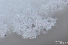 DSC_0433.jpg