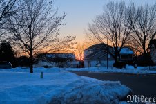 DSC_2220.jpg
