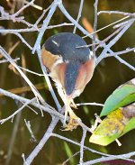 DSC_3401_001.JPG