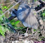 DSC_3409_001.JPG