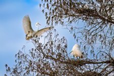 _DAB5817-DeNoiseAI-low-light.jpg