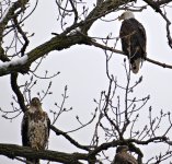 DSC_0215.JPG