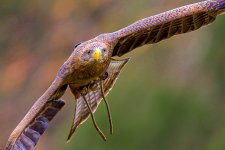 _DAB3302-SharpenAI-Motion-2.jpg