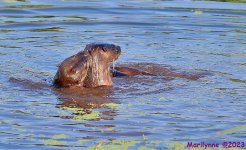 DSC_3535_001.JPG