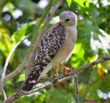 DSC_3613_001.JPG
