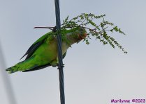 DSC_3769_001.JPG