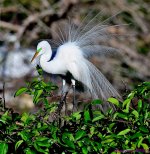 DSC_3914_001.JPG