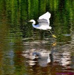 DSC_3938_001.JPG