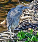DSC_3974_stitch_001.JPG