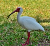 DSC_0220_001.JPG