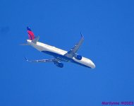 DSC_0222_001.JPG