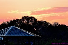 DSC_3988_001.JPG