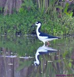 DSC_4027_001.JPG