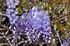 340_0005R_L_sm.JPG