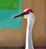 DSC_4284_001.JPG
