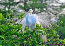 DSC_4520_001.JPG