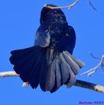 DSC_4771_001.JPG