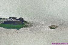 DSC_4810_001.JPG