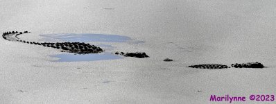 DSC_4836_001.JPG
