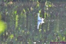 DSC_4896_001.JPG
