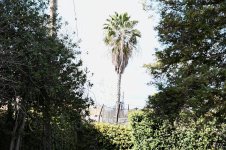 2023-03-31-10.48.14 ZS PMaxs.jpg