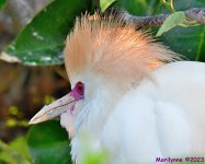 DSC_5121_001.JPG