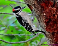 DSC_5190_001.JPG