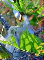 DSC_5222_001.JPG